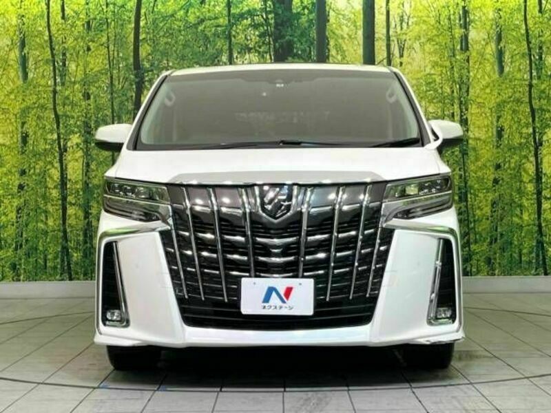 ALPHARD-14