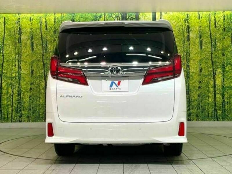 ALPHARD-15