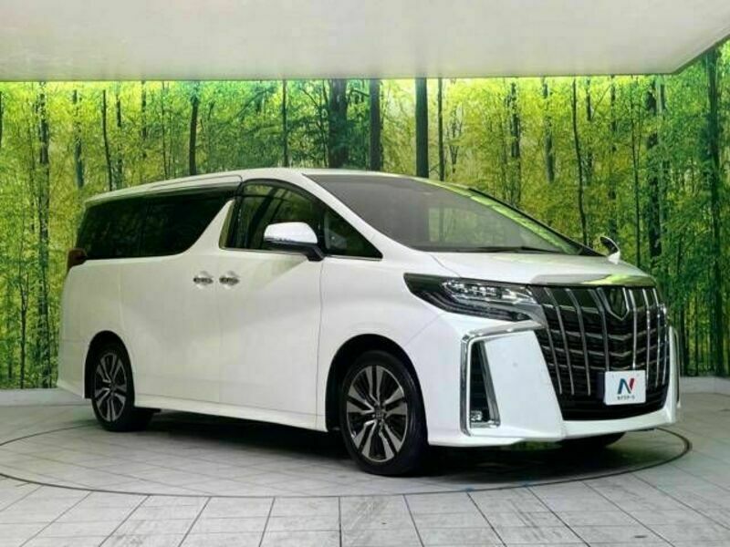 ALPHARD-16