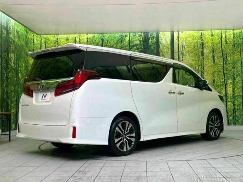 ALPHARD-17