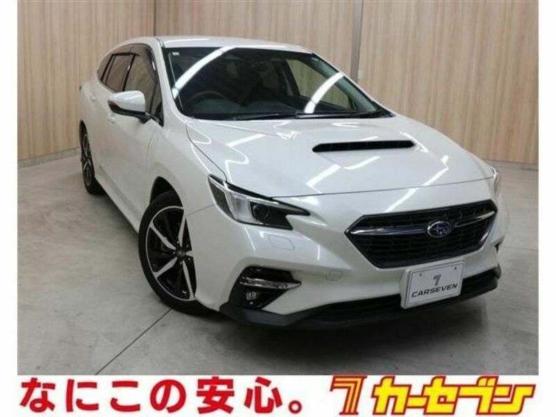 LEVORG-0