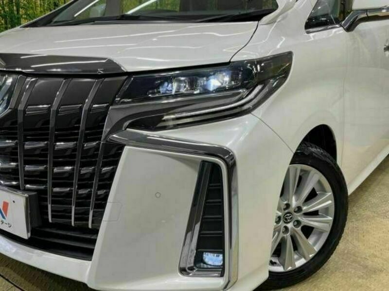 ALPHARD-13