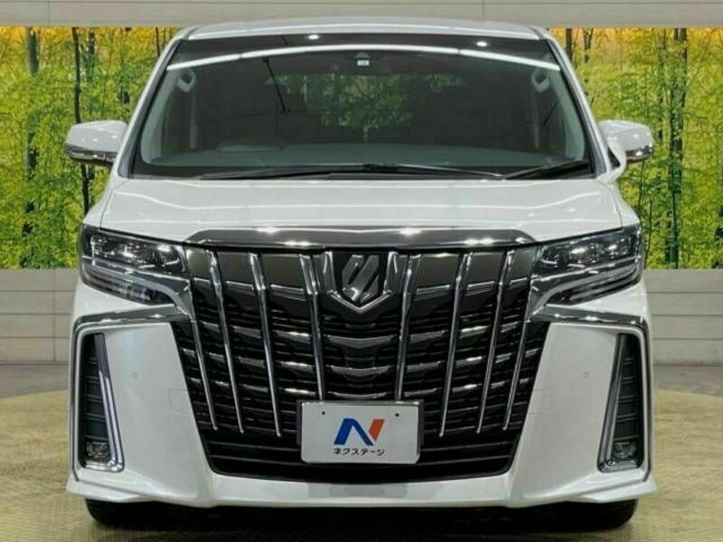 ALPHARD-15