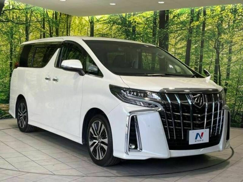 ALPHARD-17