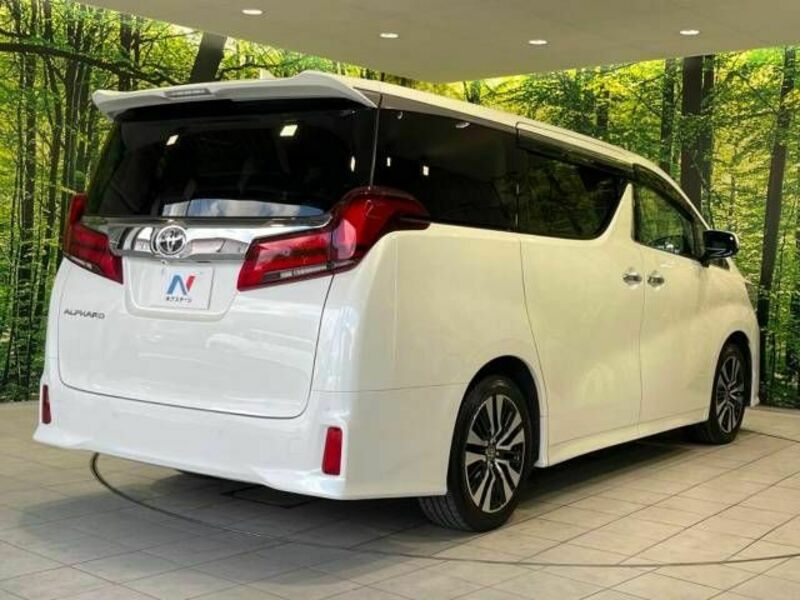 ALPHARD-18