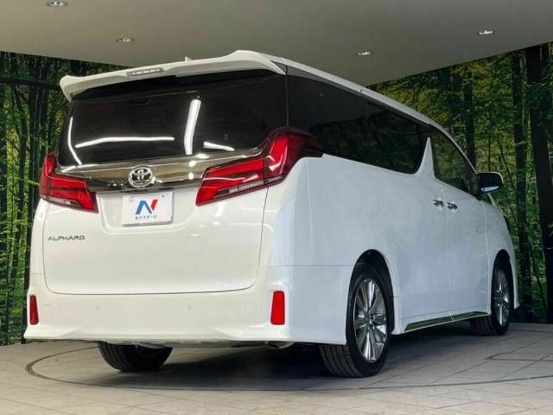 ALPHARD-17