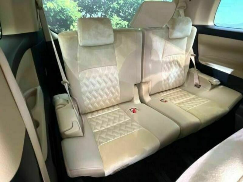 ALPHARD-10