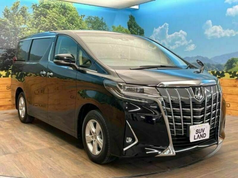 ALPHARD-17