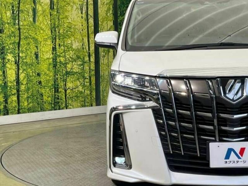 ALPHARD-13