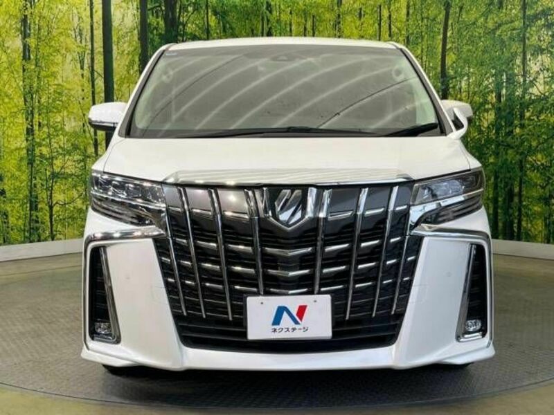 ALPHARD-15