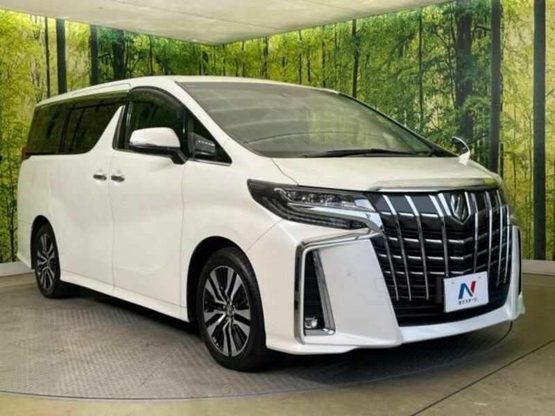 ALPHARD-17