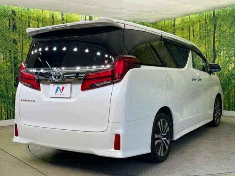 ALPHARD-18