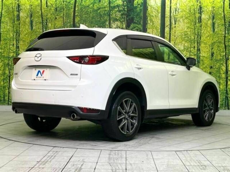 CX-5-17