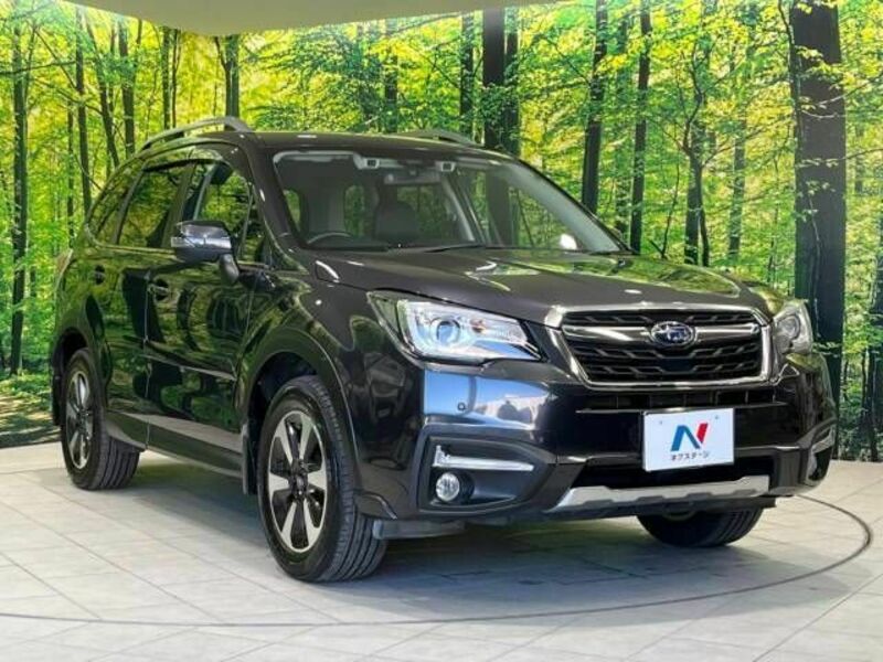 FORESTER-16