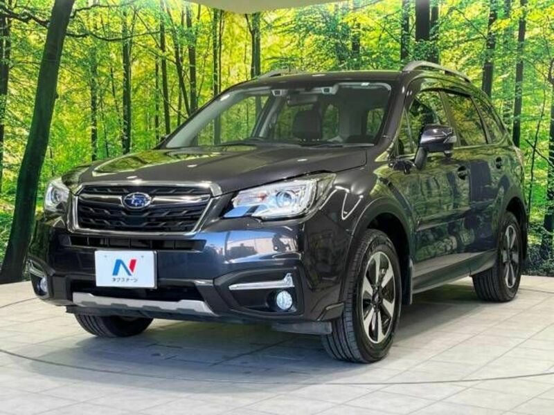 FORESTER-17