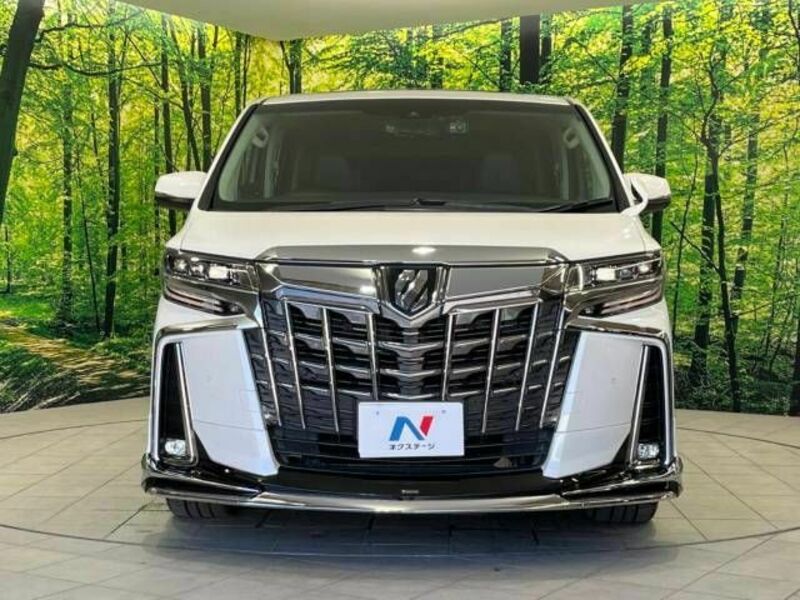 ALPHARD-14