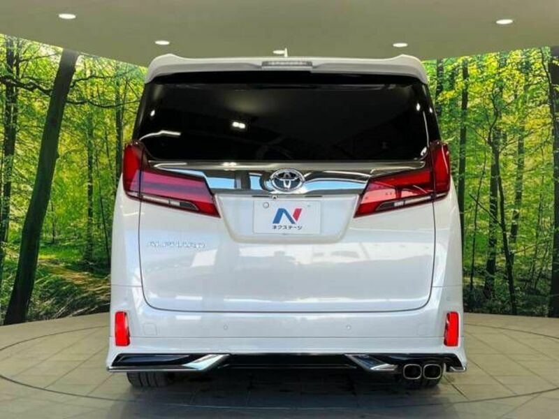 ALPHARD-15