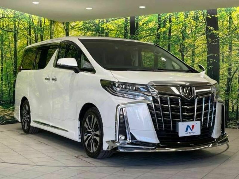 ALPHARD-16