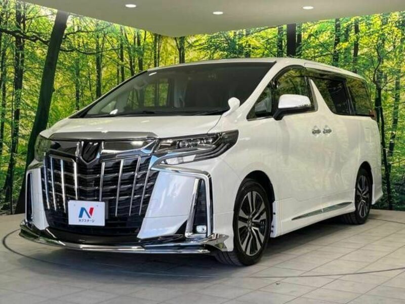 ALPHARD-17