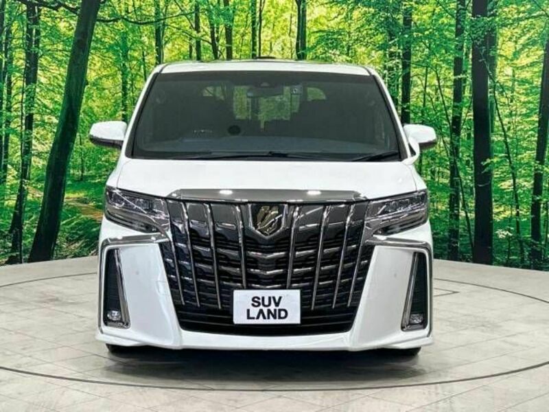 ALPHARD-15