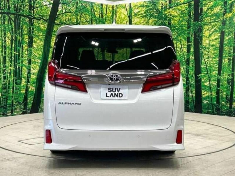 ALPHARD-16