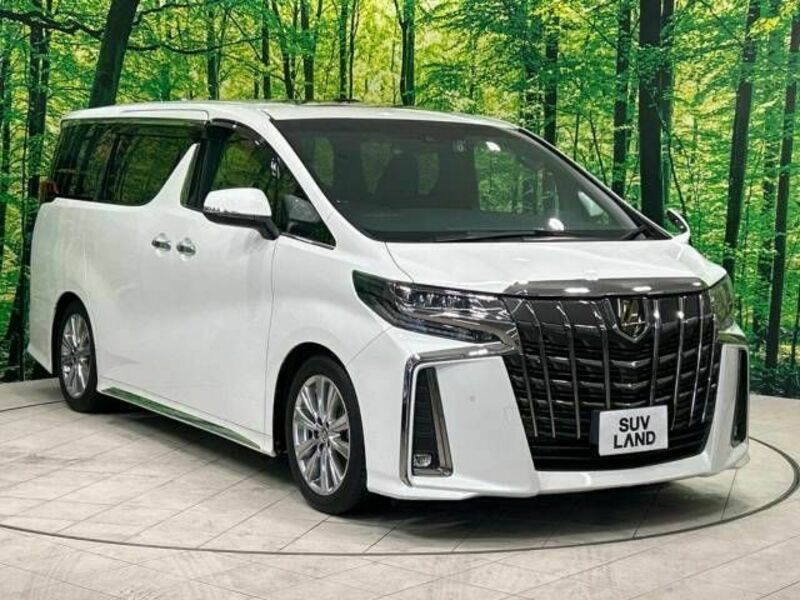 ALPHARD-17