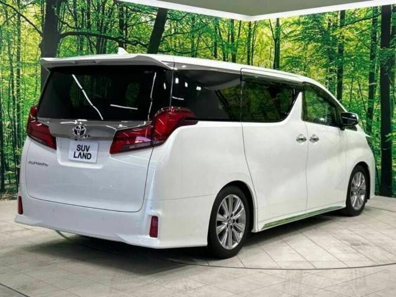 ALPHARD-18