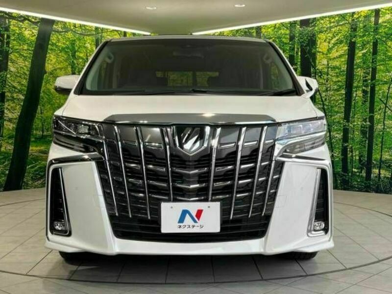 ALPHARD-15