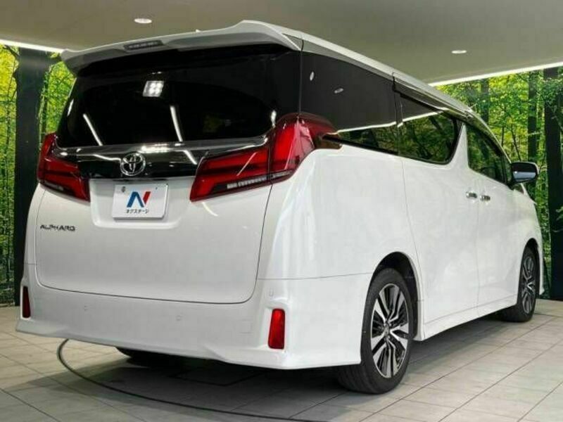 ALPHARD-18