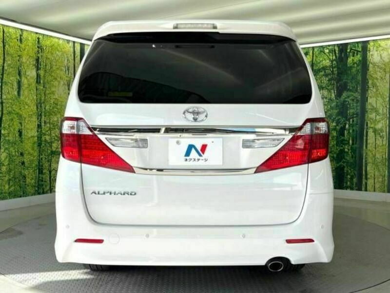 ALPHARD-16