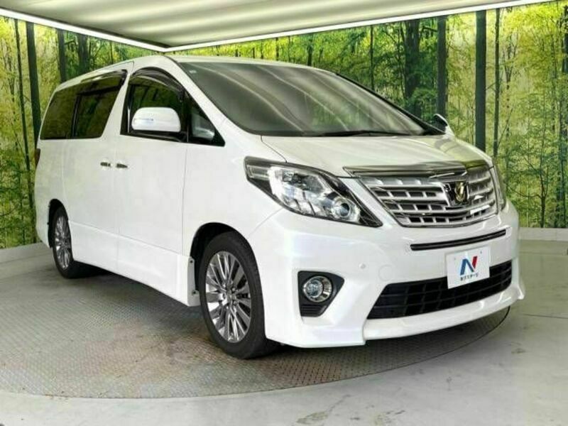 ALPHARD-17