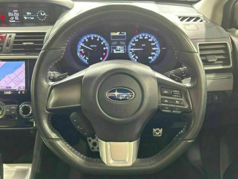 LEVORG-11