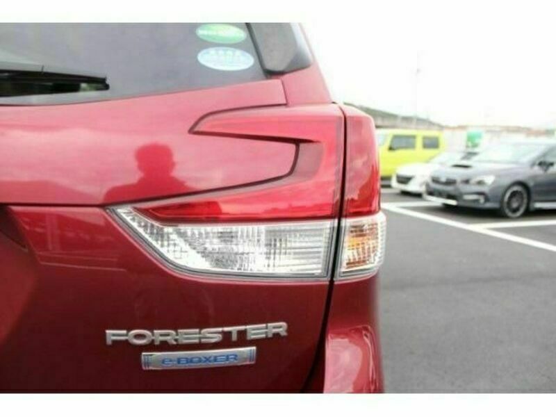 FORESTER-10