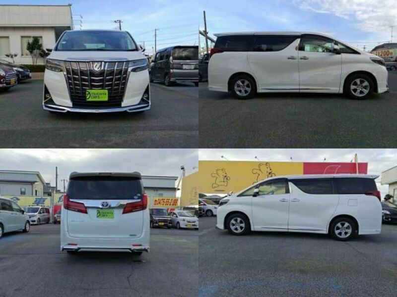 ALPHARD-3