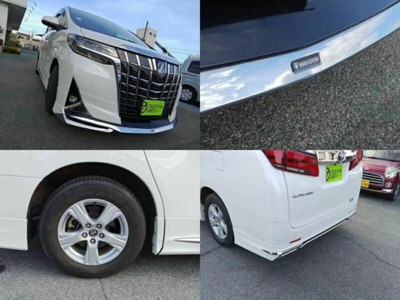 ALPHARD-7