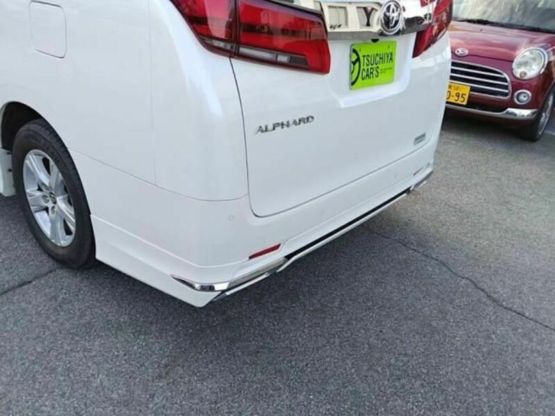 ALPHARD-27