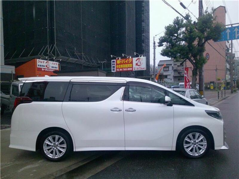 ALPHARD-6