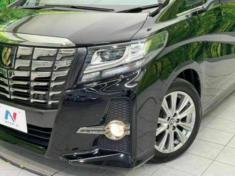 ALPHARD-13