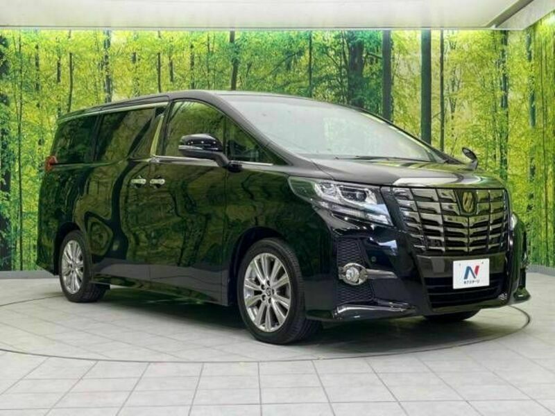 ALPHARD-17