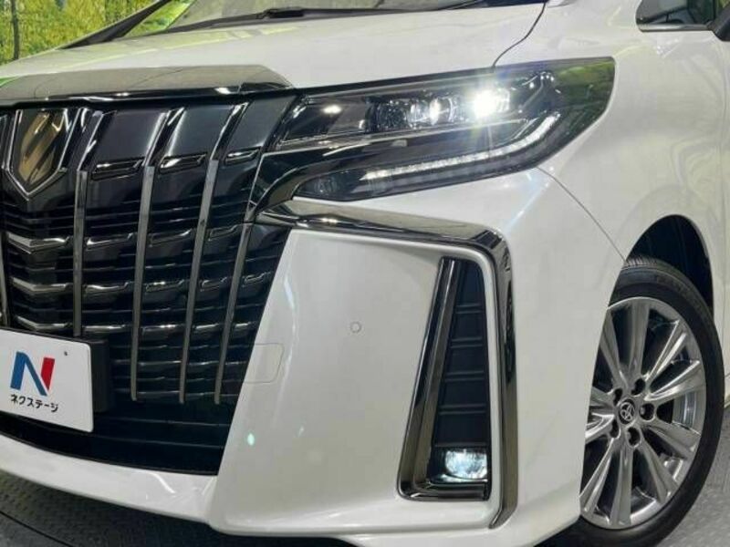 ALPHARD-13