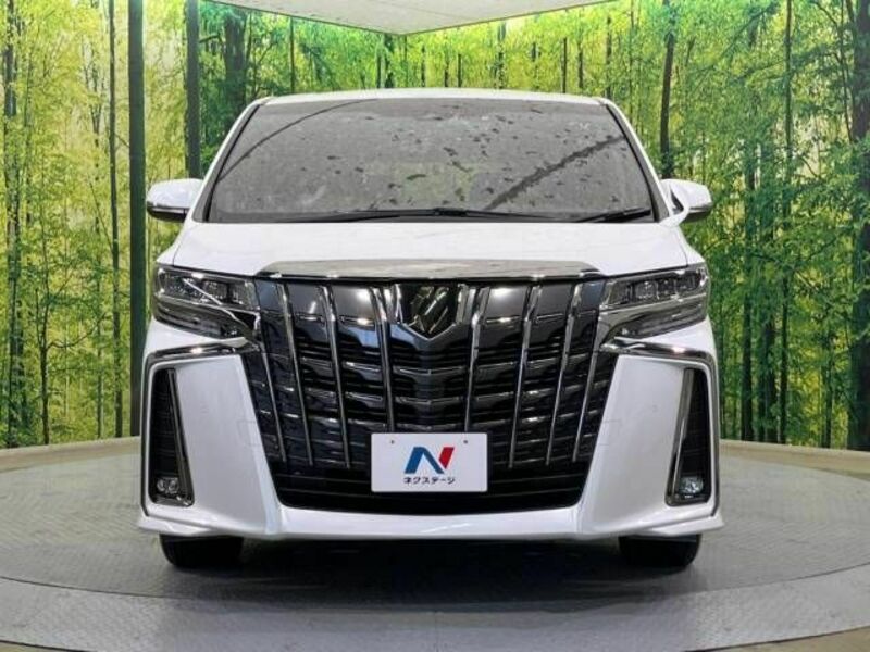 ALPHARD-15