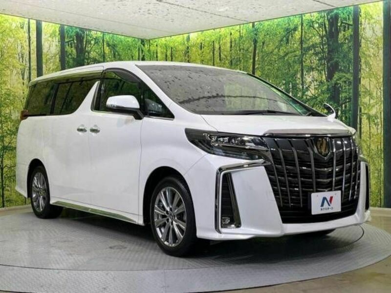 ALPHARD-17