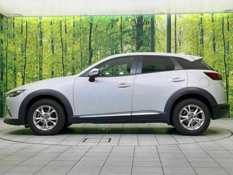 CX-3-19