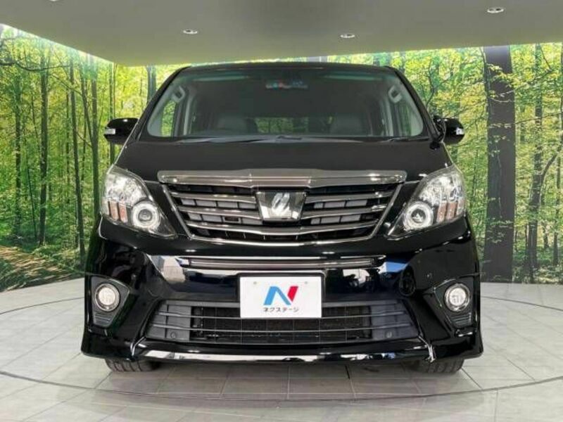 ALPHARD-15