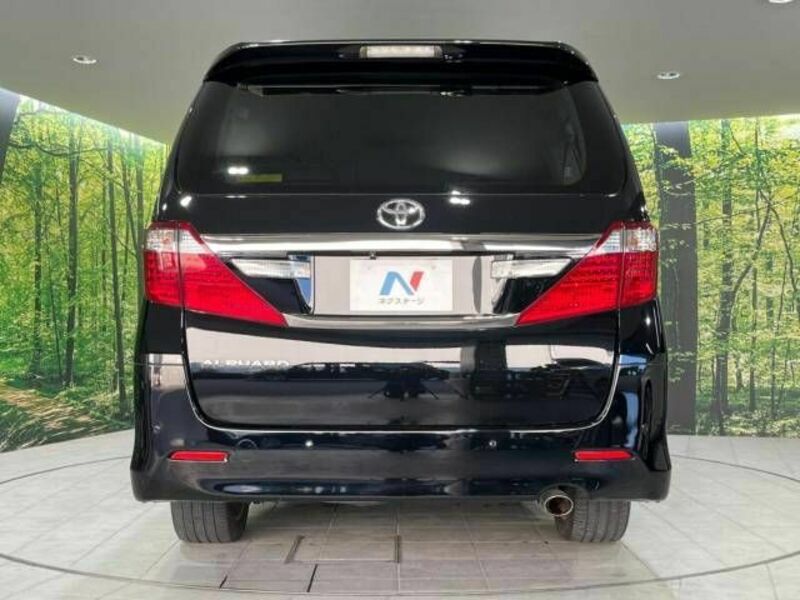 ALPHARD-16