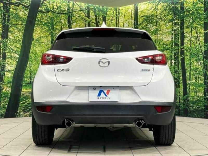 CX-3-15