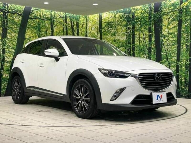 CX-3-16