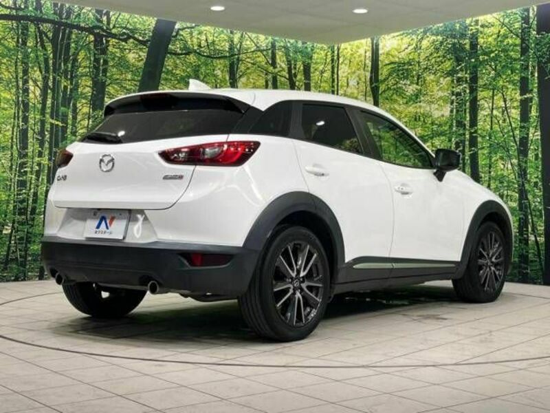 CX-3-17