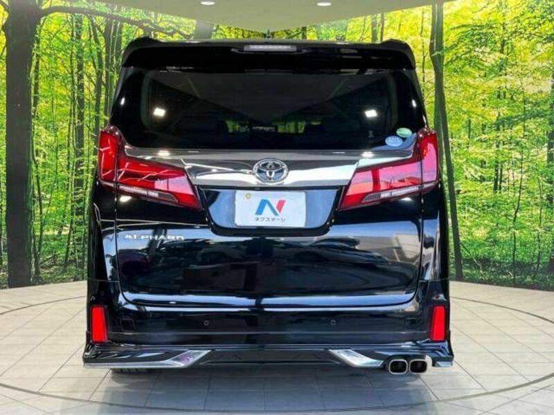 ALPHARD-15