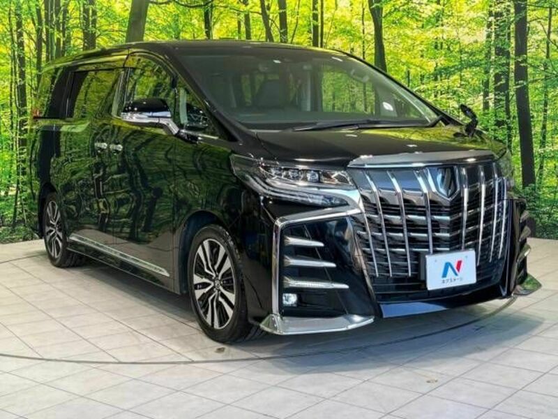 ALPHARD-16